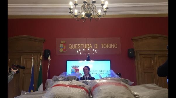 Droga di Natale,sequestro 72kg marijuana Droga di Natale,sequestro 72kg marijuana