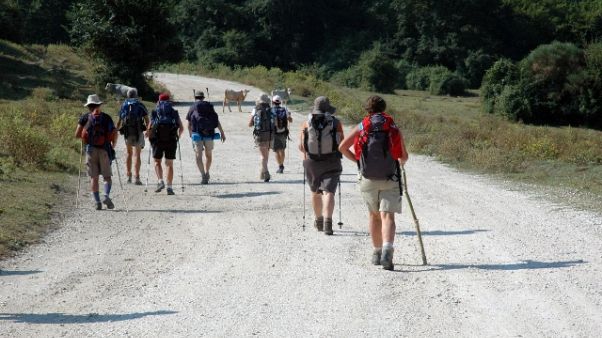 Via Francigena per rinascere, progetto Via Francigena per rinascere, progetto