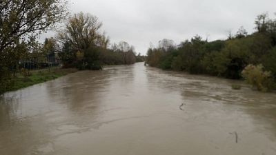 Maltempo: esonda l'Idice, evacuati