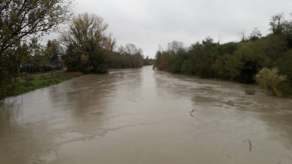 Maltempo: esonda l'Idice, evacuati Maltempo: esonda l'Idice, evacuati