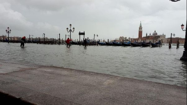 Cittadella-Pisa, incasso per Venezia Cittadella-Pisa, incasso per Venezia