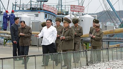 North Korea's Kim pushes economic plan with fisheries visit as officials berate United States North Korea's Kim pushes economic plan with fisheries visit as officials berate United States