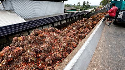 Malaysian palm oil to meet new EU food safety levels by 2021 - minister