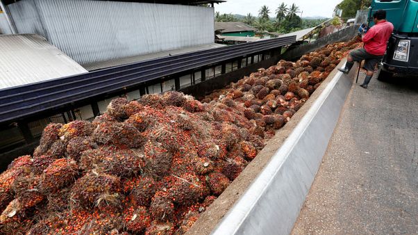 Malaysian palm oil to meet new EU food safety levels by 2021 - minister Malaysian palm oil to meet new EU food safety levels by 2021 - minister