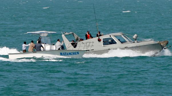 Fishing vessels pushing vaquita porpoise to extinction - U.N. treaty head Fishing vessels pushing vaquita porpoise to extinction - U.N. treaty head