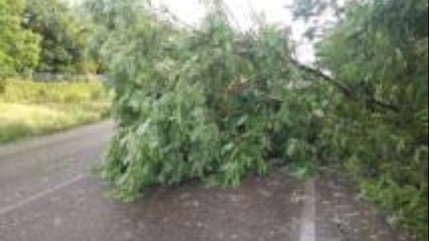 Meteo: Toscana prolunga codice giallo Meteo: Toscana prolunga codice giallo