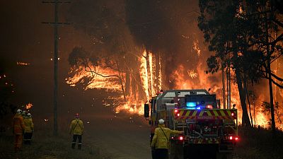 New front opens in Australian bushfires, power cut to thousands New front opens in Australian bushfires, power cut to thousands