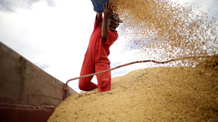 Europe says Brazil's move to end soy moratorium threatens $5-billion market