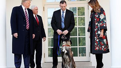 Trump welcomes dog who helped catch Islamic State leader to White House