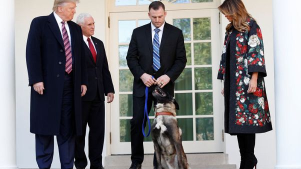 Trump welcomes dog who helped catch Islamic State leader to White House Trump welcomes dog who helped catch Islamic State leader to White House