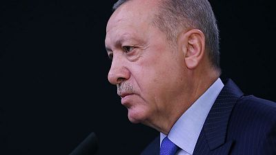 Erdogan says Qatar backs Turkey's plans to settle Syrian refugees - NTV