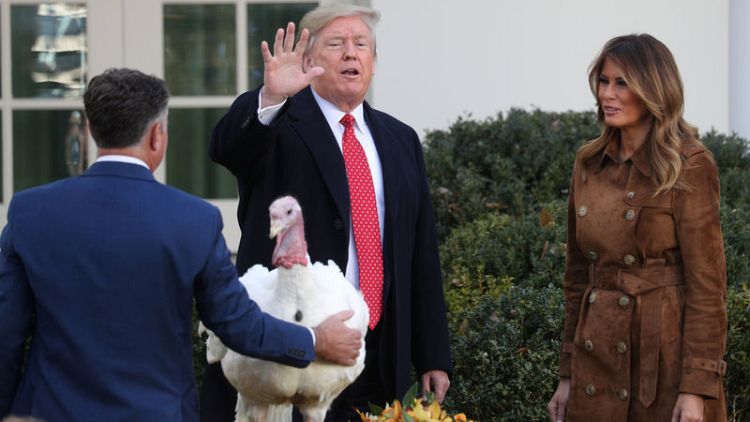 Trump jokes about impeachment probe at annual turkey pardon