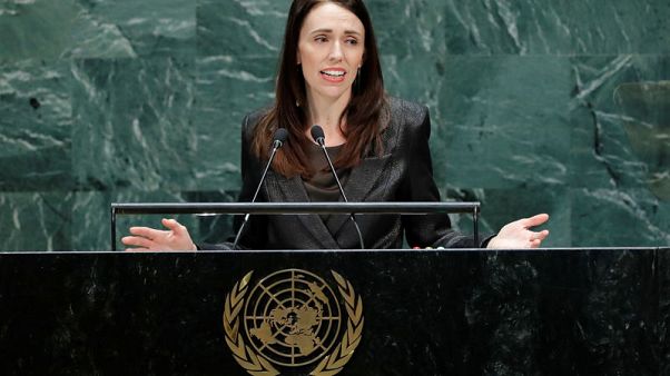 Forty years on, New Zealand apologises for Antarctic plane disaster Forty years on, New Zealand apologises for Antarctic plane disaster