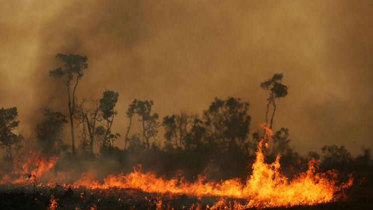 Brazil frees volunteer firefighters accused of setting Amazon blazes
