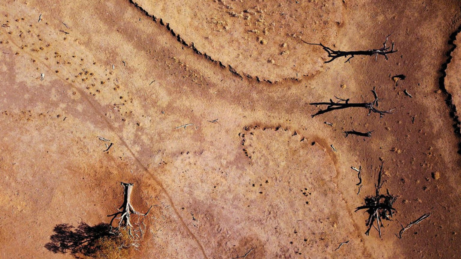 Drought trims Australia greenhouse gas emissions, offsets jump from gas trade