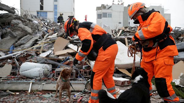 Rescue workers comb ruins of hotel for Albanian quake survivors Rescue workers comb ruins of hotel for Albanian quake survivors