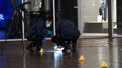 Dutch police hunt suspect in Hague stabbings Dutch police hunt suspect in Hague stabbings
