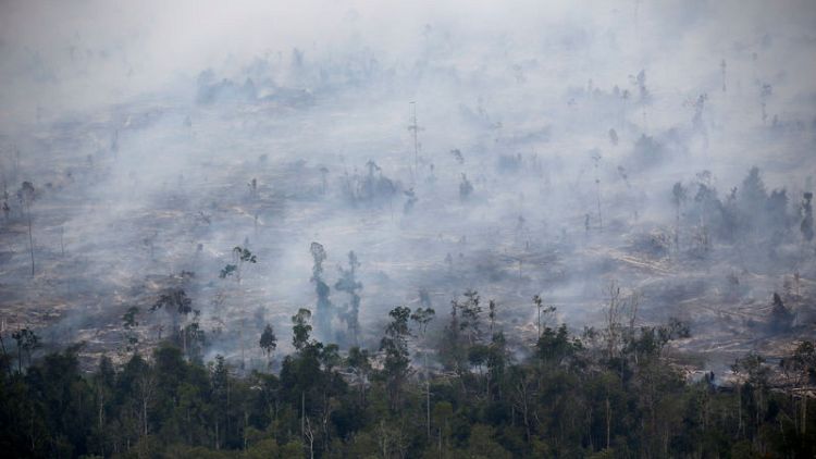 Indonesian fires burnt 1.6 million hectares of land this year - researchers