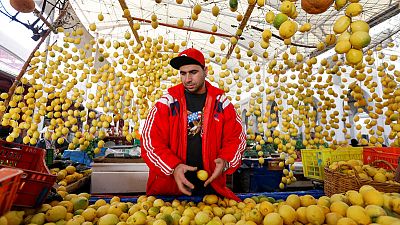 Explainer: Tunisia grapples with post-revolution economic slide Explainer: Tunisia grapples with post-revolution economic slide