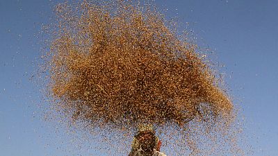 World food prices surge in November, lifted by meat, vegetable oils- U.N. FAO World food prices surge in November, lifted by meat, vegetable oils- U.N. FAO