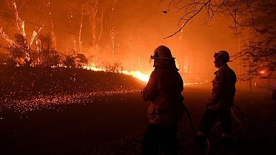 Australian firefighters worry about wildfires approaching Sydney Australian firefighters worry about wildfires approaching Sydney