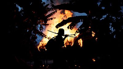 Fires in the Amazon: a barrier to climate change up in smoke Fires in the Amazon: a barrier to climate change up in smoke