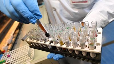 Coronavirus, due tamponi positivi Marche Coronavirus, due tamponi positivi Marche
