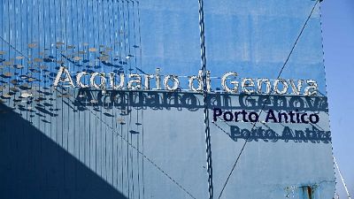 Coronavirus: riapre l'Acquario a Genova Coronavirus: riapre l'Acquario a Genova