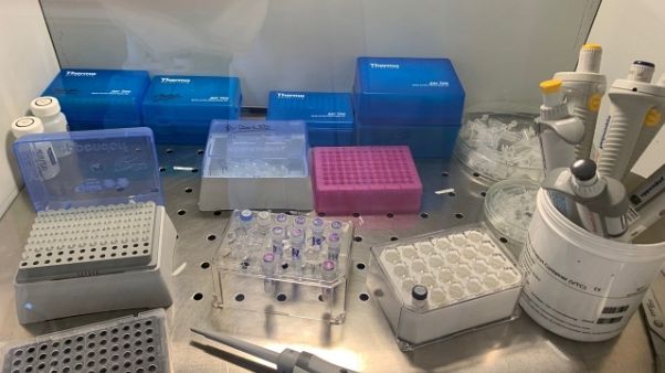 Coronavirus: altri cinque casi in Puglia Coronavirus: altri cinque casi in Puglia
