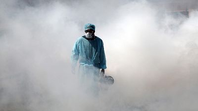 Da Codogno disinfettante gratis al Nord Da Codogno disinfettante gratis al Nord