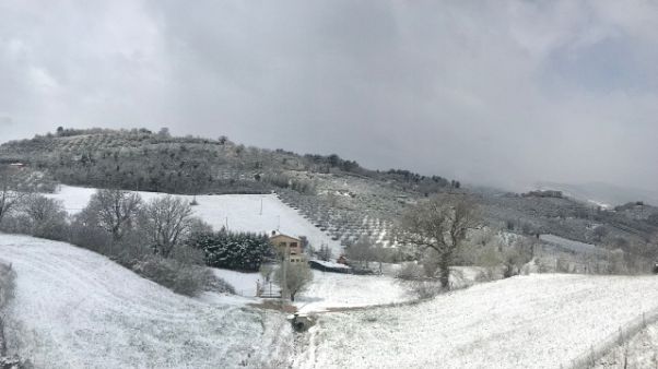 Neve su Assisi e altri centri Umbria Neve su Assisi e altri centri Umbria