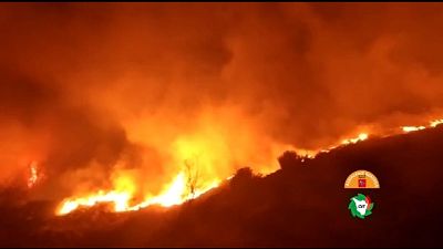 Incendio boschivo in Versilia Incendio boschivo in Versilia