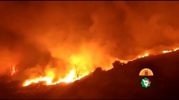 Incendio boschivo in Versilia Incendio boschivo in Versilia
