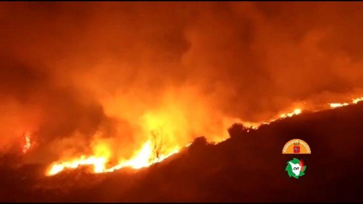 Incendio boschivo in Versilia