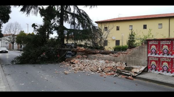Firenze, codice giallo vento di Grecale Firenze, codice giallo vento di Grecale