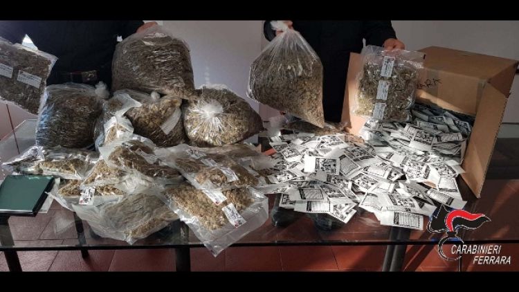 Otto kg di marijuana in casa, arrestata
