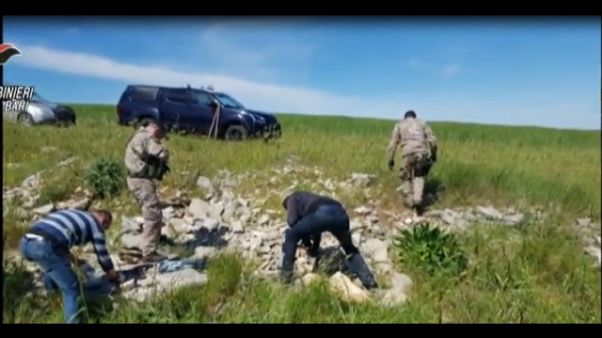 Fucili e auto rubate, due arresti Fucili e auto rubate, due arresti