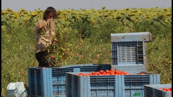 Verso intesa su permessi a migranti Verso intesa su permessi a migranti