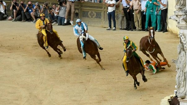 Palio Siena annulla Carriere 2020 Palio Siena annulla Carriere 2020