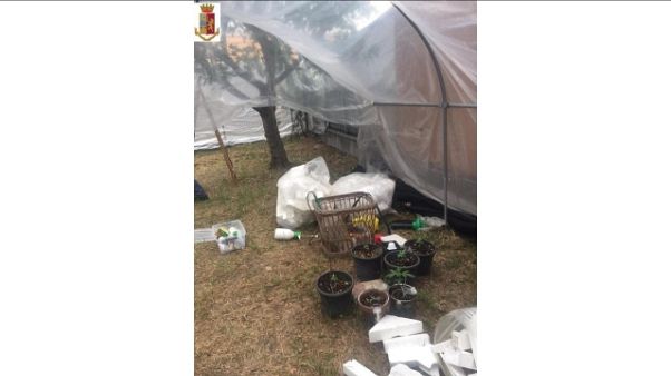 Bimba cade da finestra,in casa marijuana Bimba cade da finestra,in casa marijuana