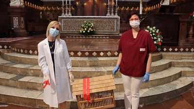 A personale sanitario Palombella Orvieto A personale sanitario Palombella Orvieto