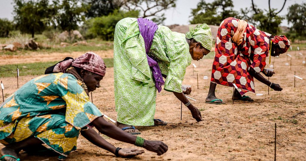 Secretary-General underscores need for peace and stability in Africa's Sahel region - Vimarsana News
