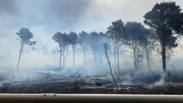 Ieri rogo ha distrutto cento ettari di bosco nell'agrigentino
