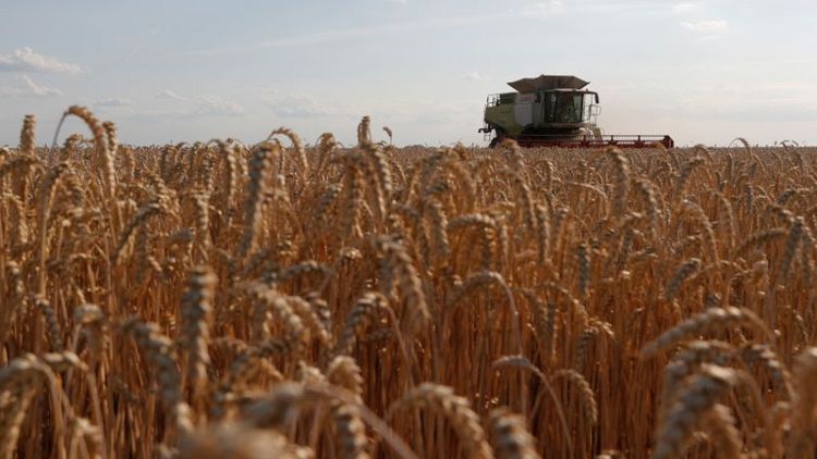 Cosecha granos Ucrania podría subir a 70,7 millones toneladas en 2021, dice instituto local