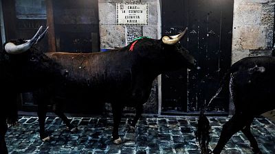Spain's Pamplona cancels bull-running festival for second year in row