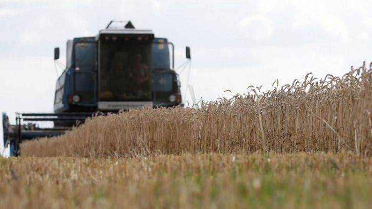 Exportaciones granos de Ucrania caen 24,2% en lo q va de campaña 2020/21