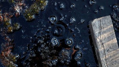 Se necesitan recortes urgentes en emisiones de metano para frenar cambio climático, dice la ONU Se necesitan recortes urgentes en emisiones de metano para frenar cambio climático, dice la ONU