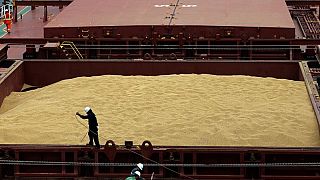 Anec reduce proyección de exportaciones soja de Brasil en abril a 15,78 millones toneladas Anec reduce proyección de exportaciones soja de Brasil en abril a 15,78 millones toneladas