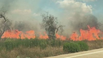 Vento ostacola pompieri.Fiamme lambiscono strada Lecce-Gallipoli Vento ostacola pompieri.Fiamme lambiscono strada Lecce-Gallipoli
