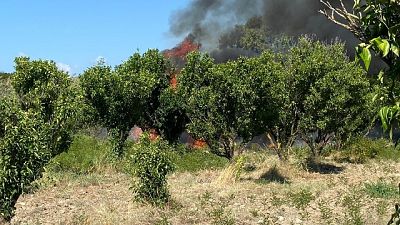 E' accaduto a Cassano allo Jonio, in Calabria E' accaduto a Cassano allo Jonio, in Calabria